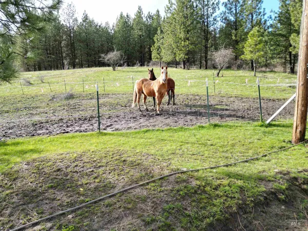 $575,000 | 4633 Harmony Heights Road, Orofino, ID 83544
