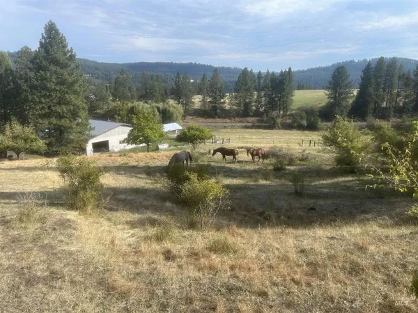 $575,000 | 4633 Harmony Heights Road, Orofino, ID 83544