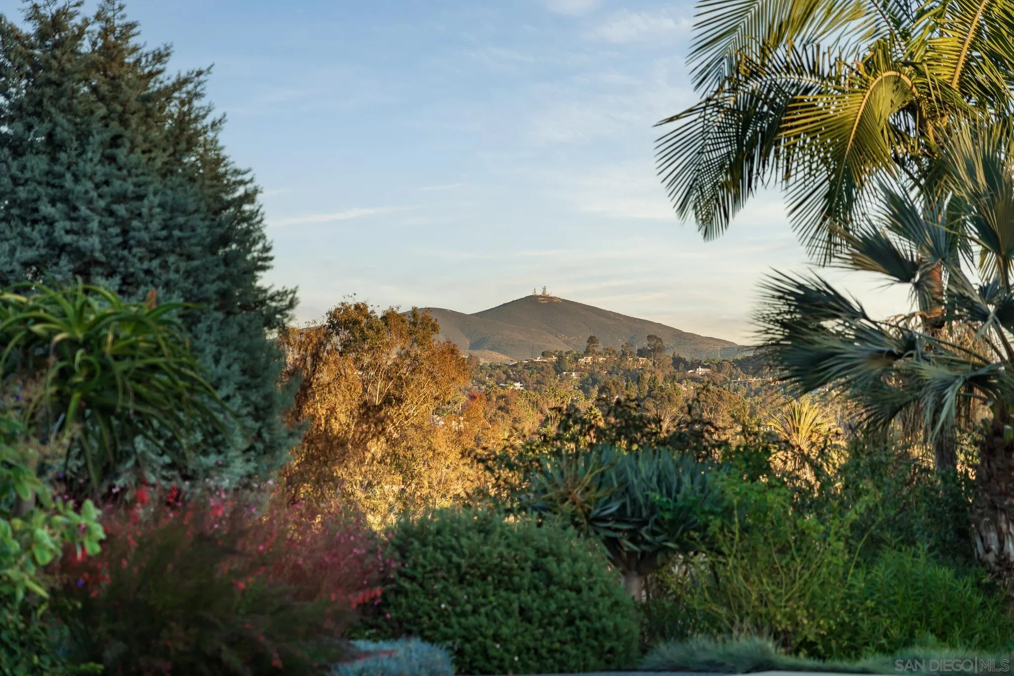 16039 Via Del Alba Rancho Santa Fe, CA 92067 - Photo 21 of 56