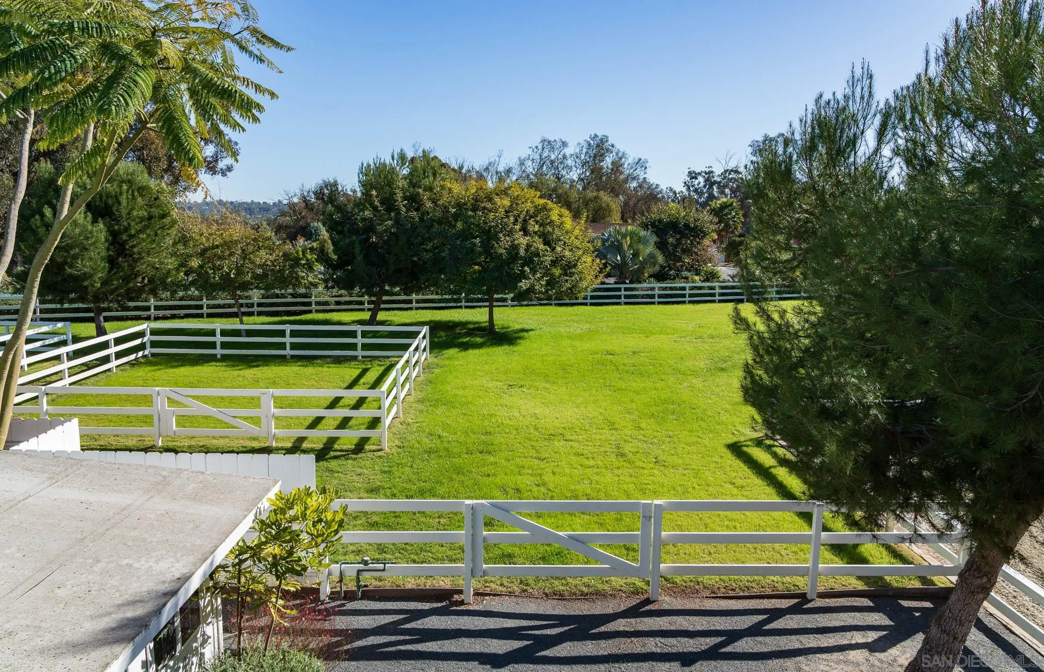 16039 Via Del Alba Rancho Santa Fe, CA 92067 - Photo 41 of 56 a view of a tennis ground with large trees