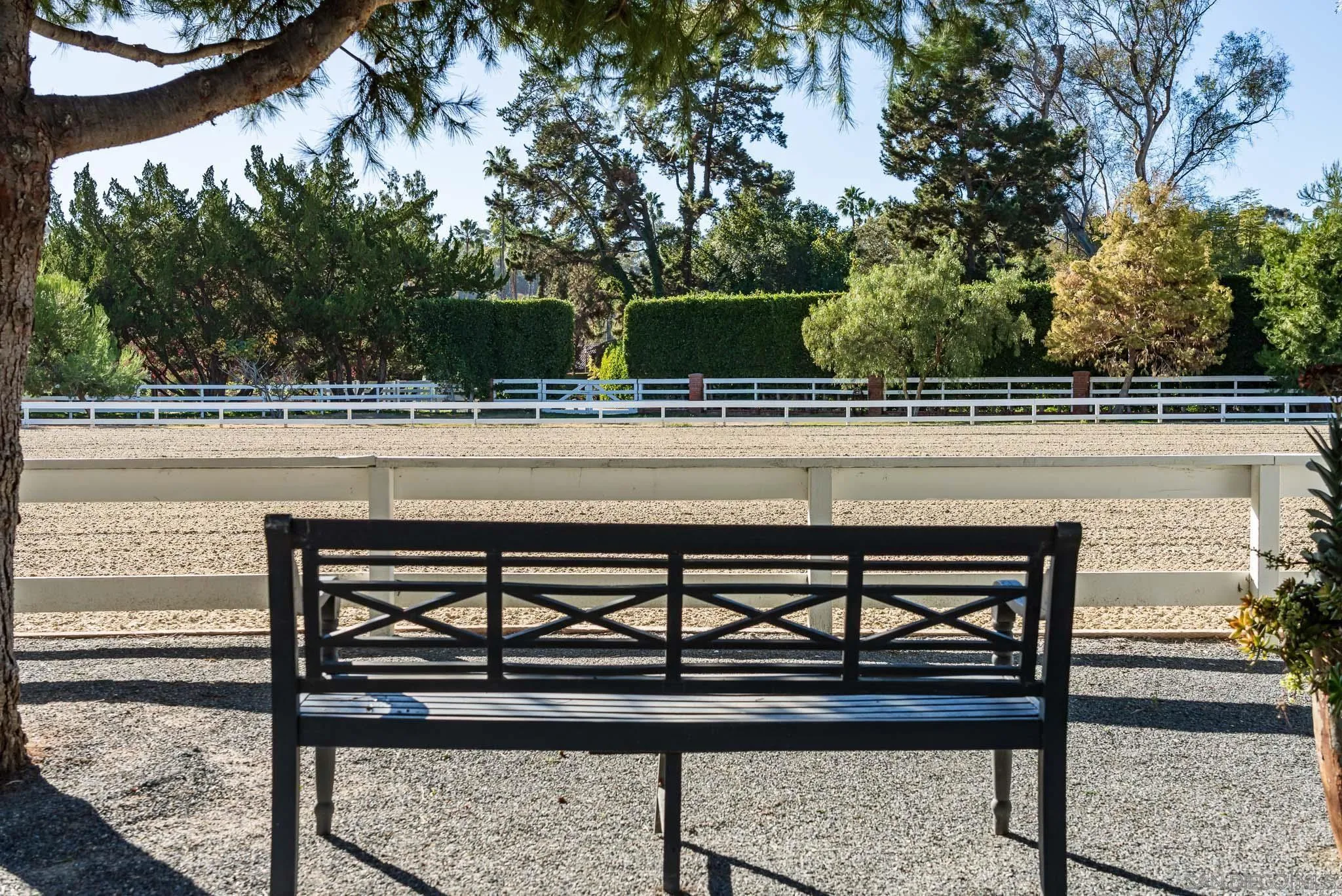 16039 Via Del Alba Rancho Santa Fe, CA 92067 - Photo 42 of 56 a view of swimming pool with outdoor seating and plants