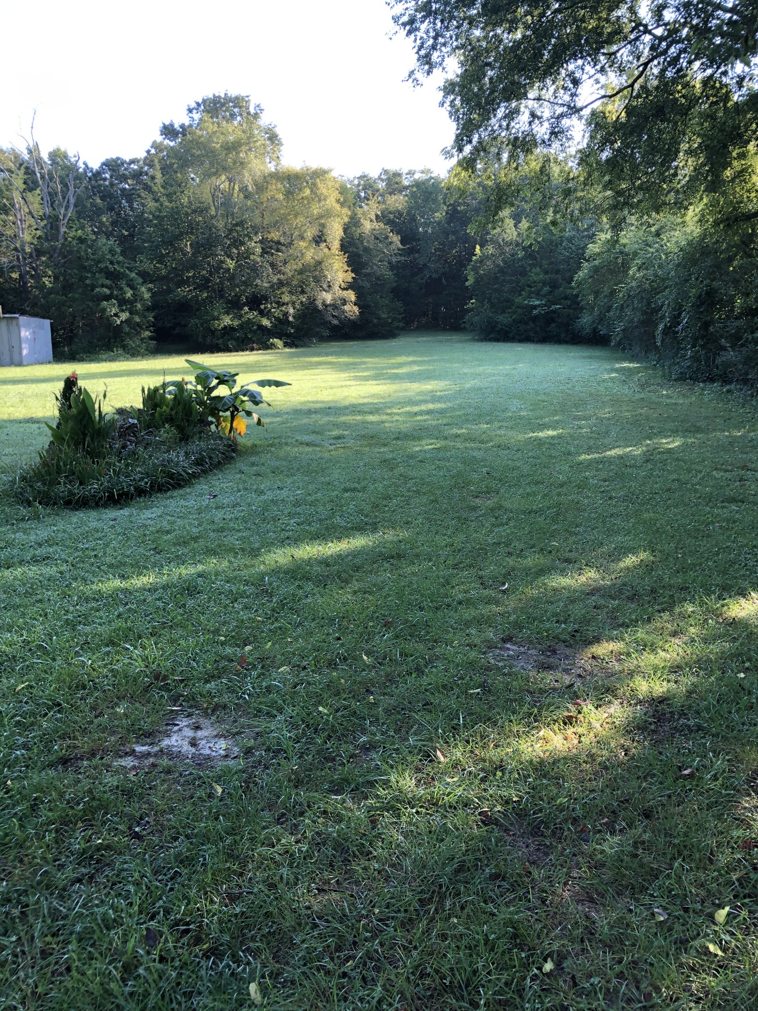 919 Canoe Branch Road Lebanon, TN 37087 - Photo 3 of 11 Gallery Image 3