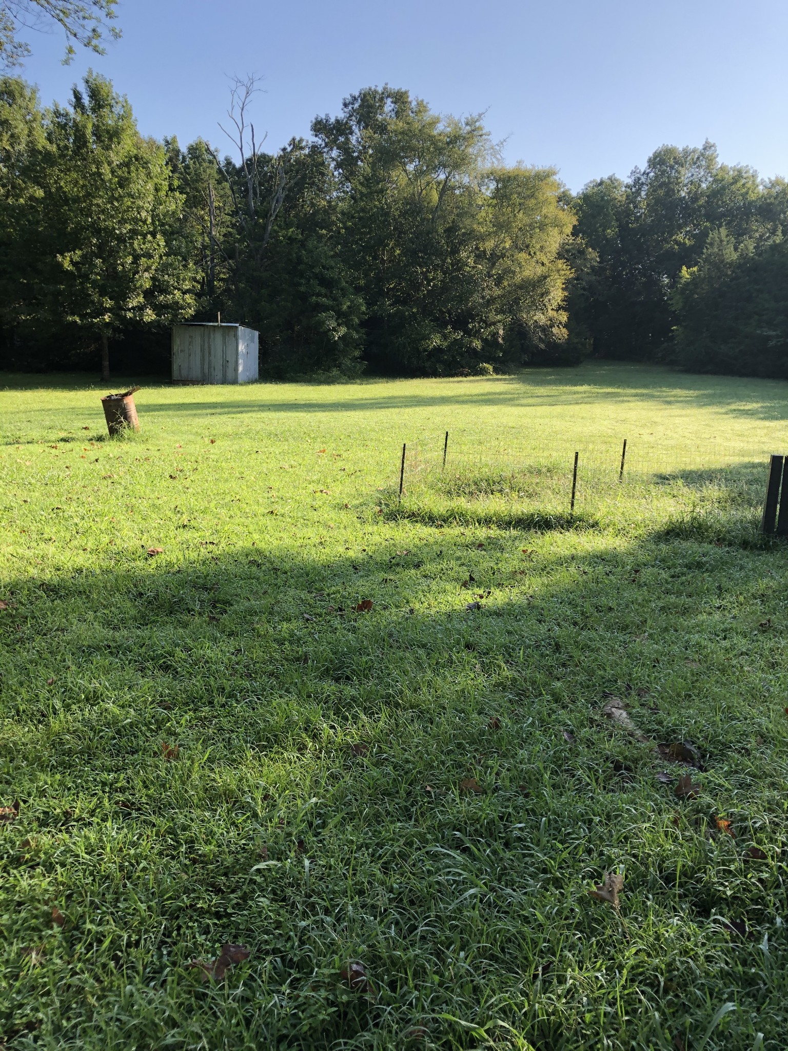 919 Canoe Branch Road Lebanon, TN 37087 - Photo 4 of 11 Gallery Image 4