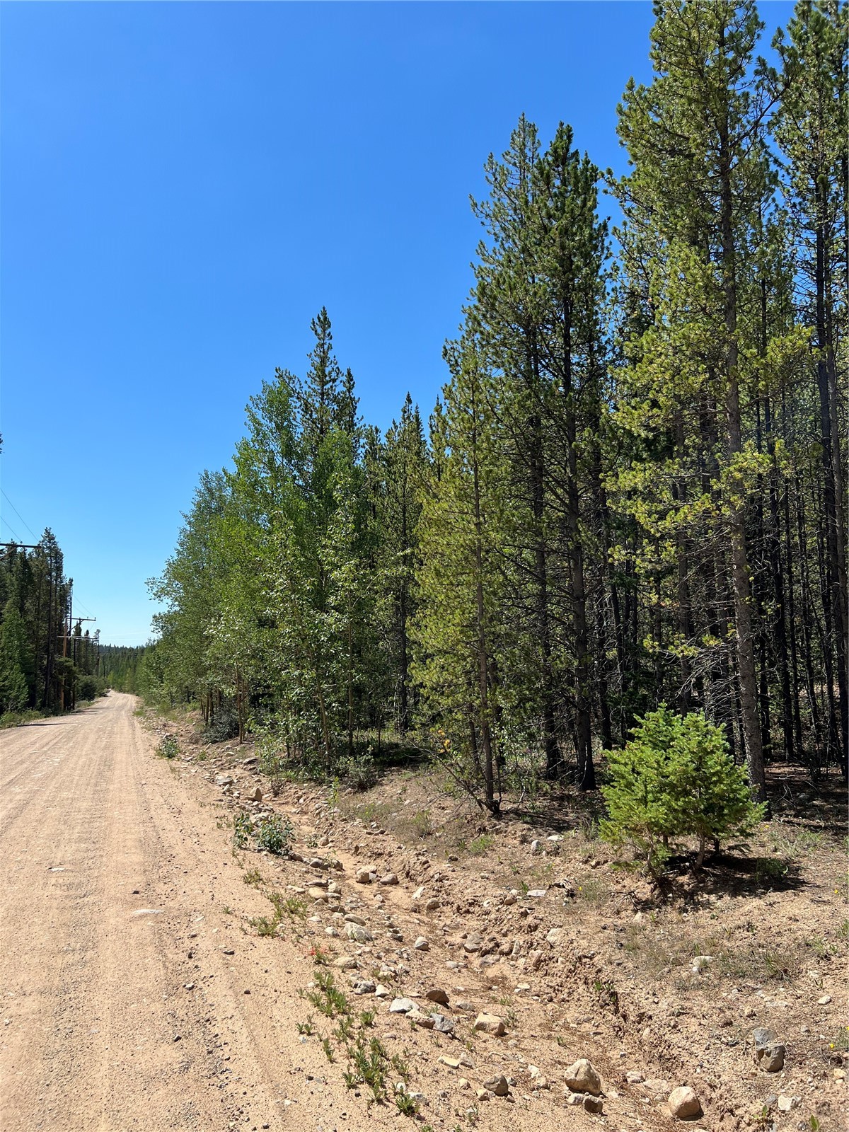 163 Co Road Fairplay, CO 80440 - Photo 4 of 12