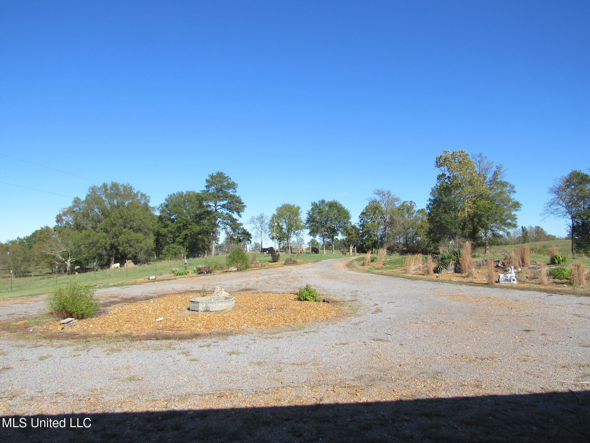 981 Woolfolk Road Senatobia, MS 38668 - Photo 5 of 25 IMG_6346