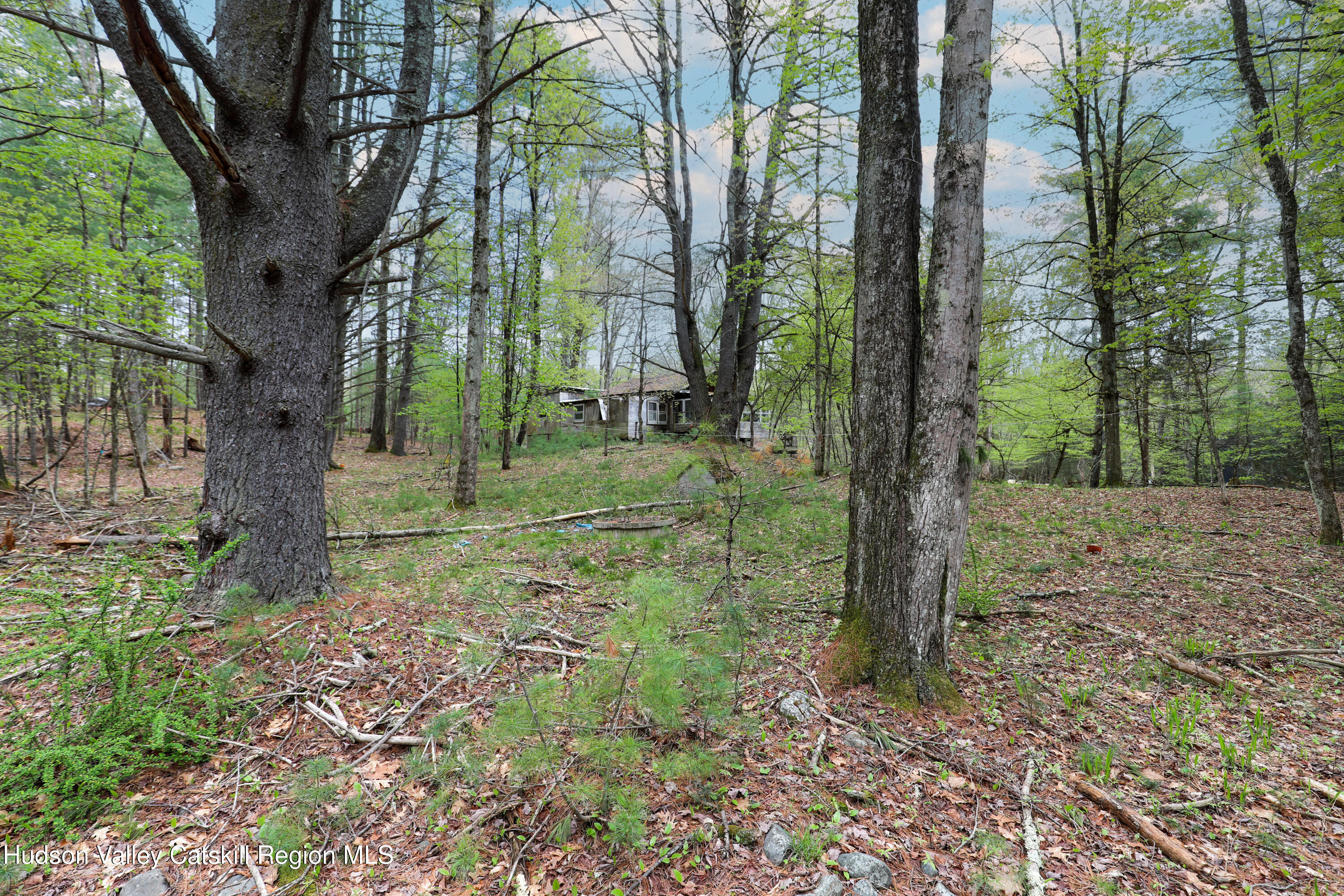 44 Pine Grove Road Kerhonkson, NY 12446 - Photo 3 of 13 02