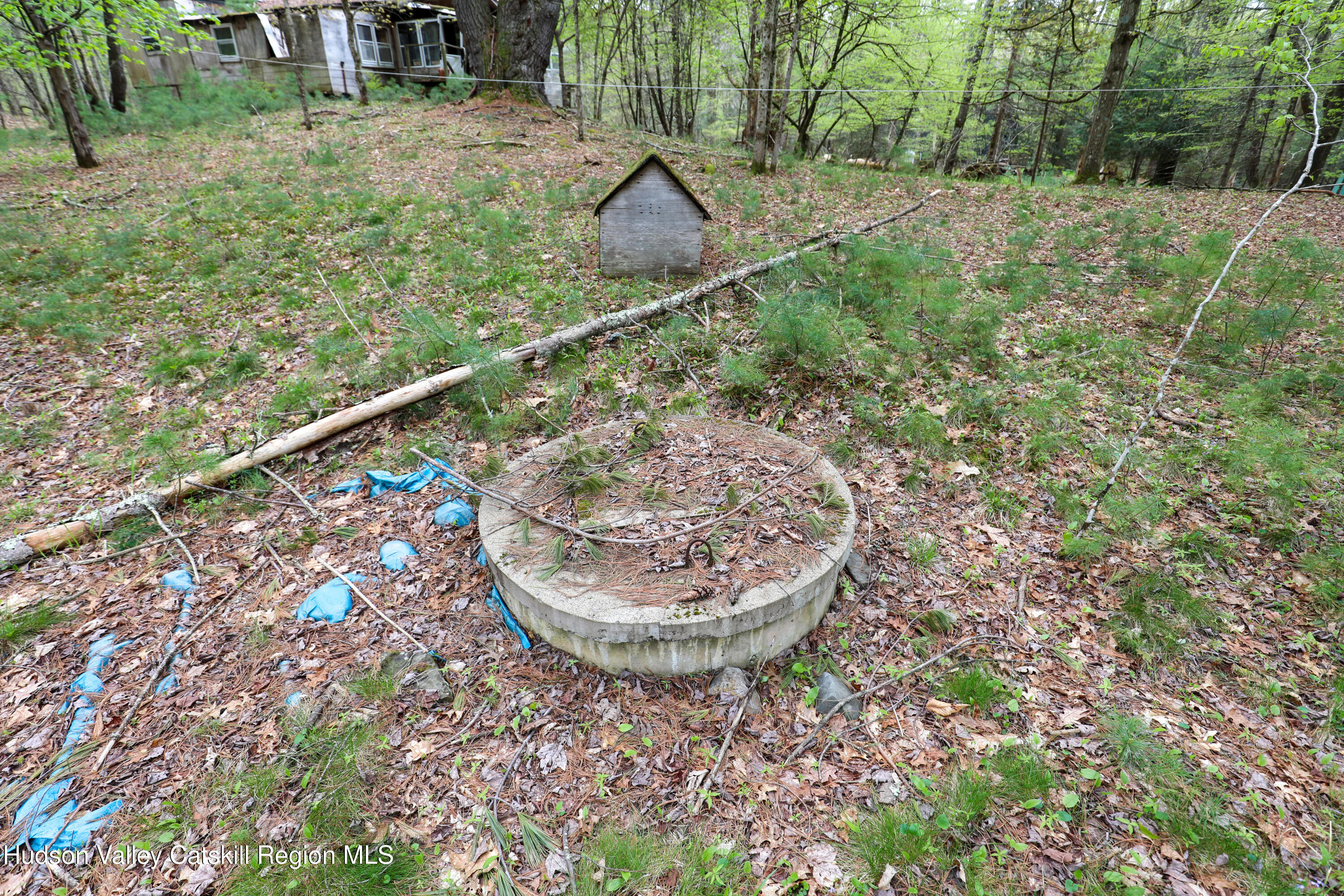 44 Pine Grove Road Kerhonkson, NY 12446 - Photo 4 of 13 03