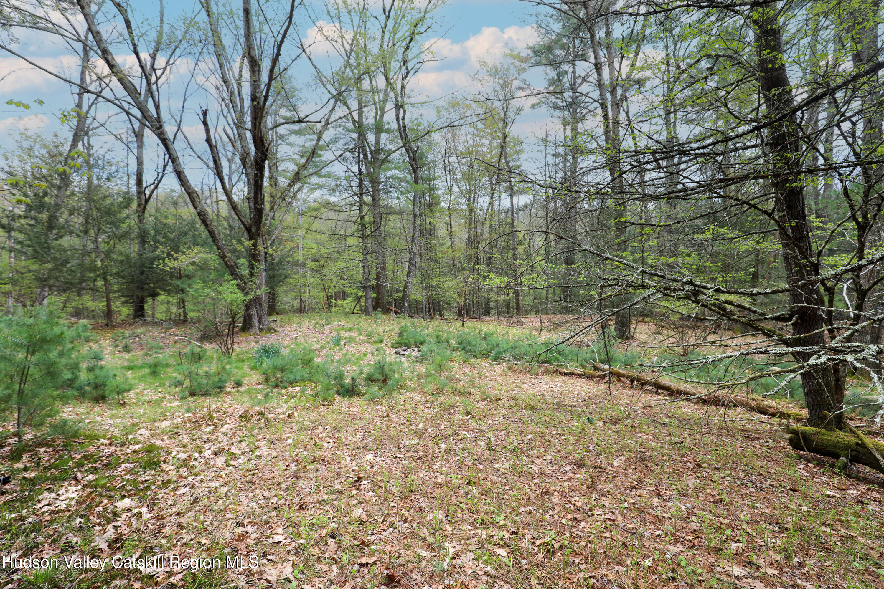 44 Pine Grove Road Kerhonkson, NY 12446 - Photo 8 of 13 07