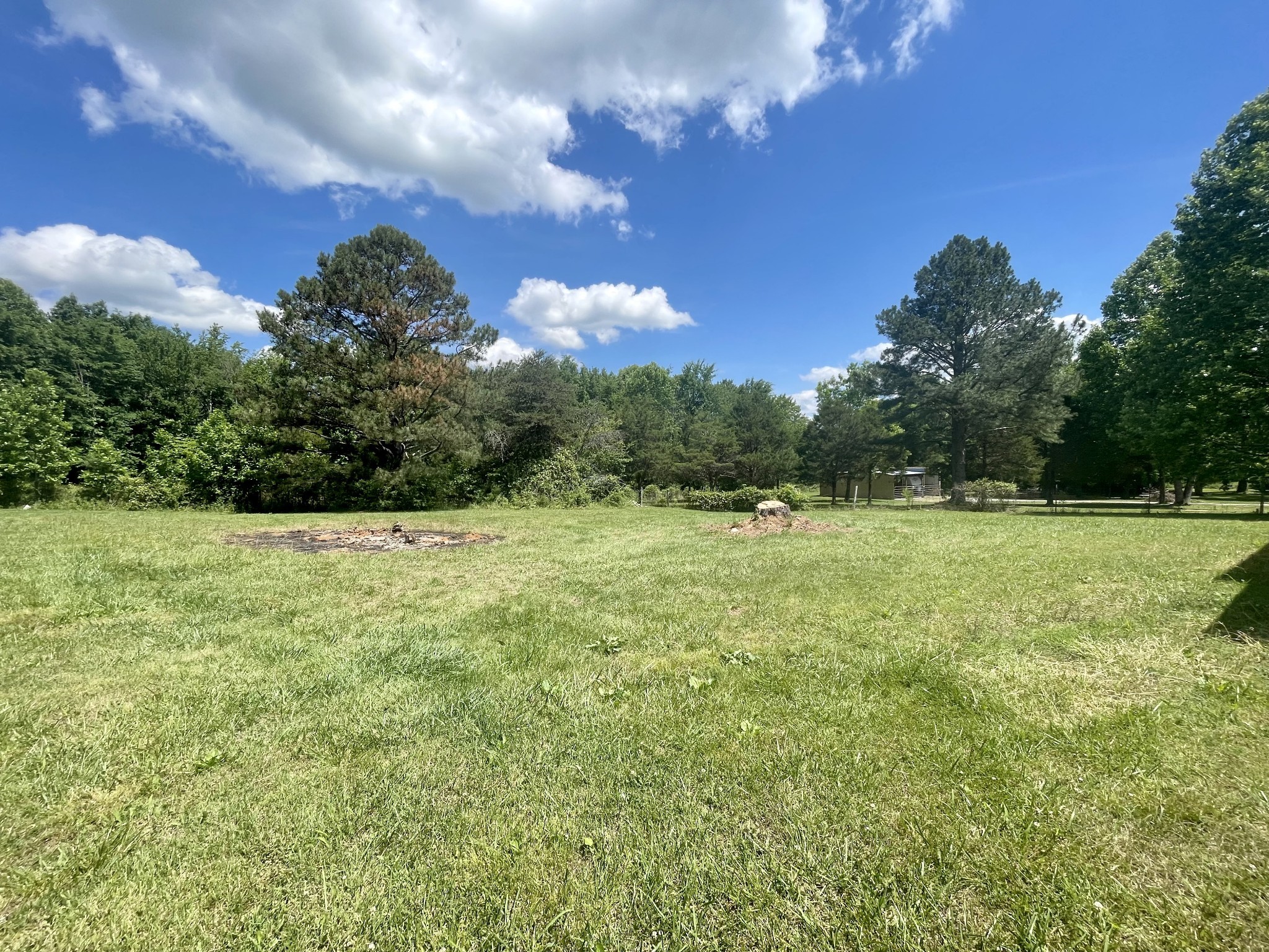 262 Doug Luna Road Walling, TN 38587 - Photo 3 of 11 Gallery Image 3