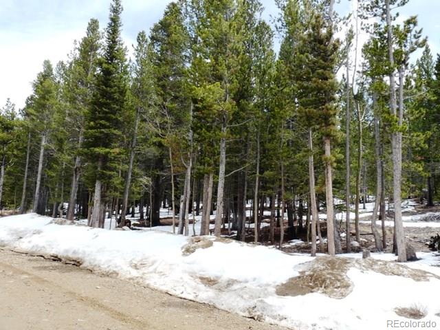 0 Beaver Road Idaho Springs, CO 80452 - Photo 2 of 5 Gallery Image 2
