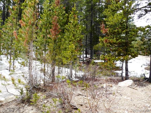 0 Beaver Road Idaho Springs, CO 80452 - Photo 3 of 5 Gallery Image 3