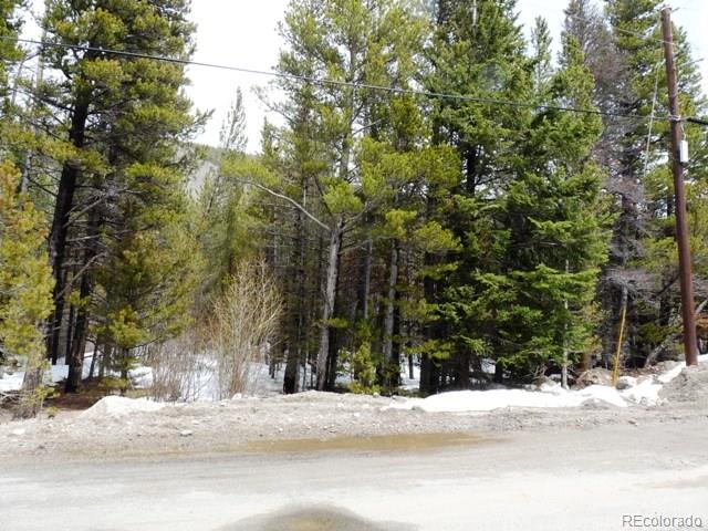 0 Beaver Road Idaho Springs, CO 80452 - Photo 4 of 5 Gallery Image 4