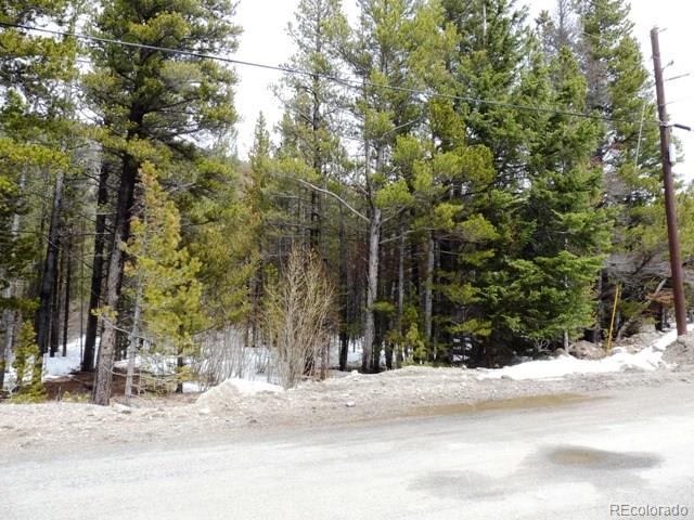 0 Beaver Road Idaho Springs, CO 80452 - Photo 5 of 5 Gallery Image 5
