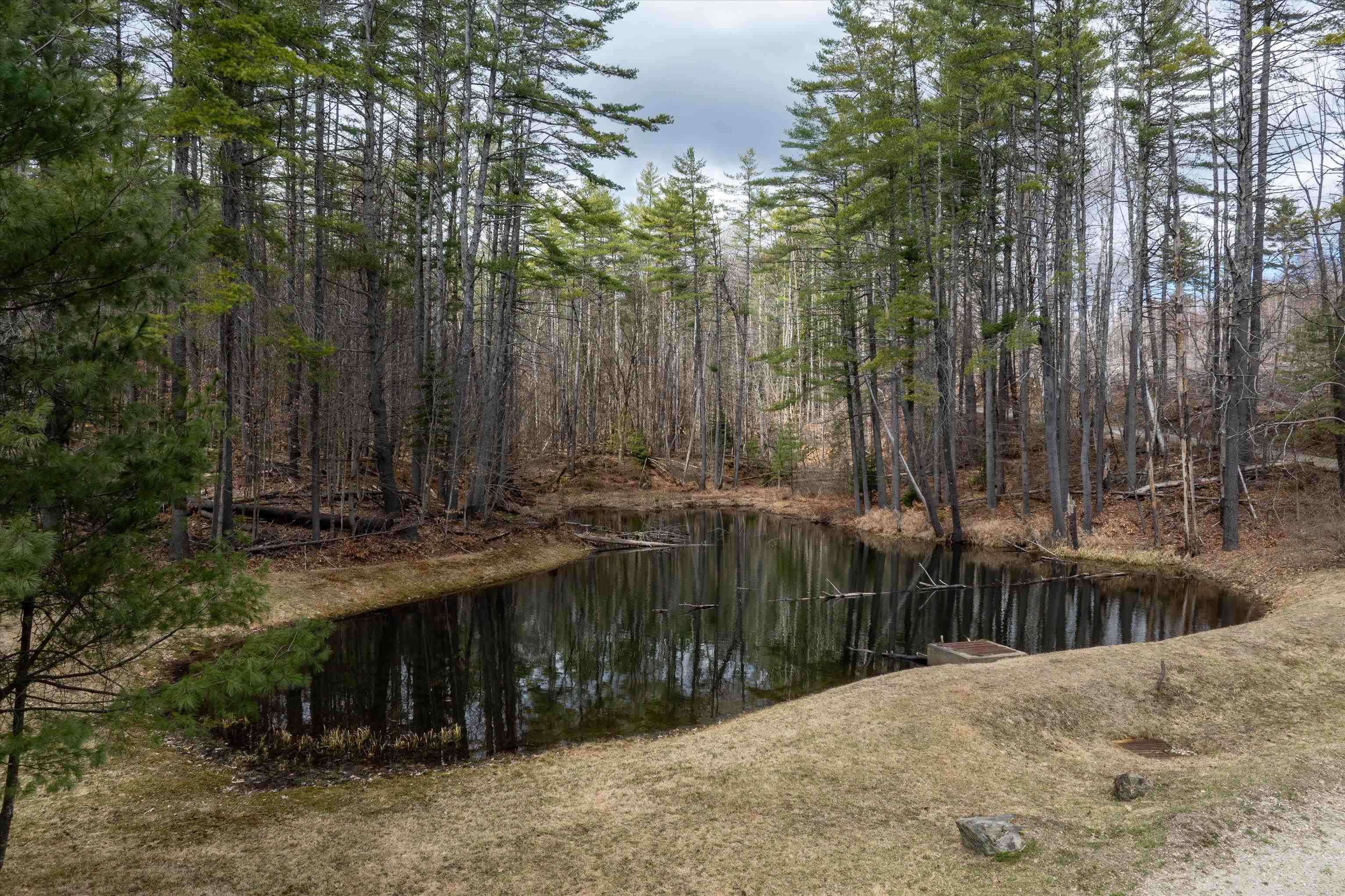 2145 Tarbell Hill Road, Unit 20 Cavendish, VT 05142 - Photo 47 of 50
