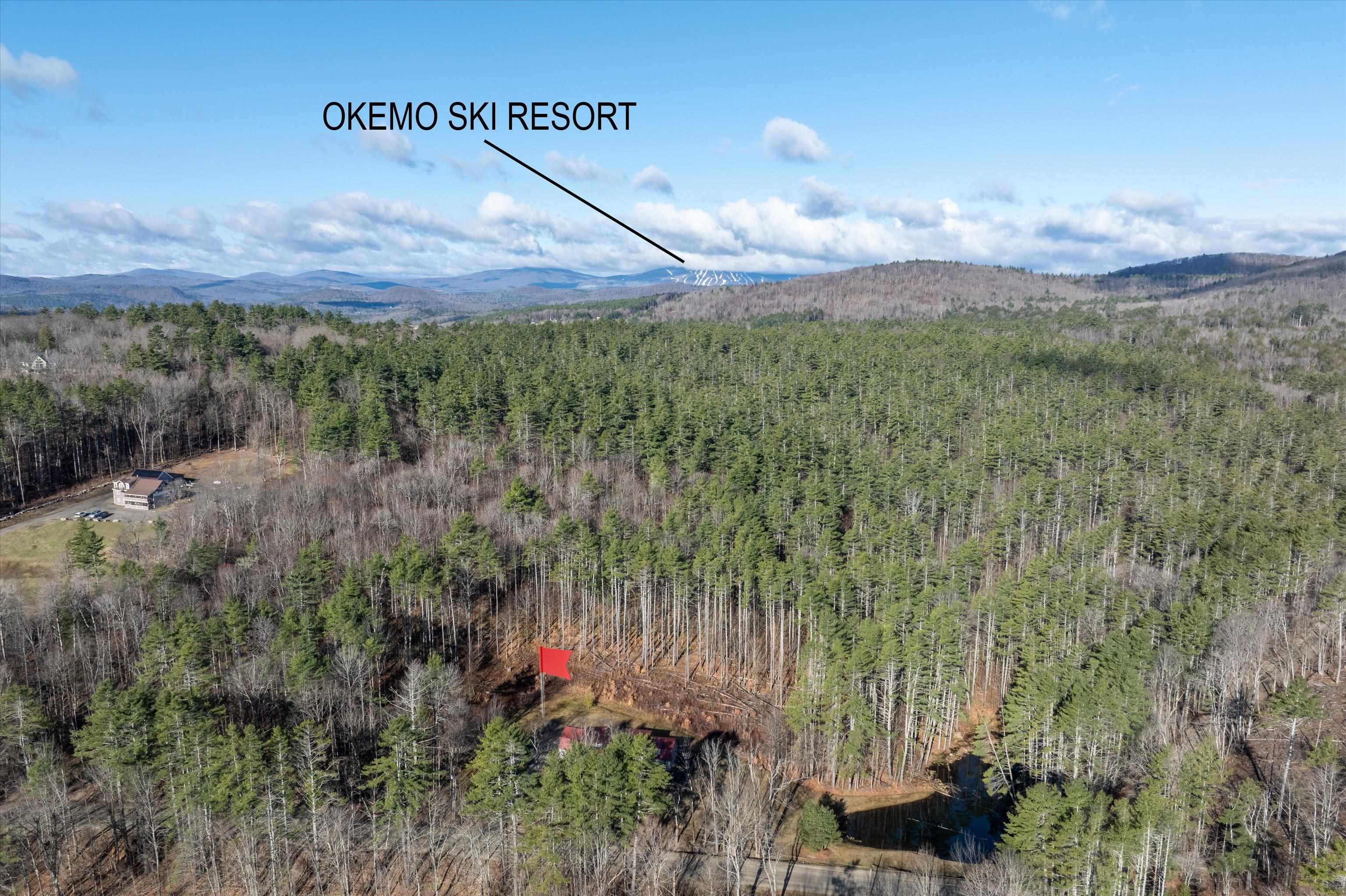 2145 Tarbell Hill Road, Unit 20 Cavendish, VT 05142 - Photo 49 of 50