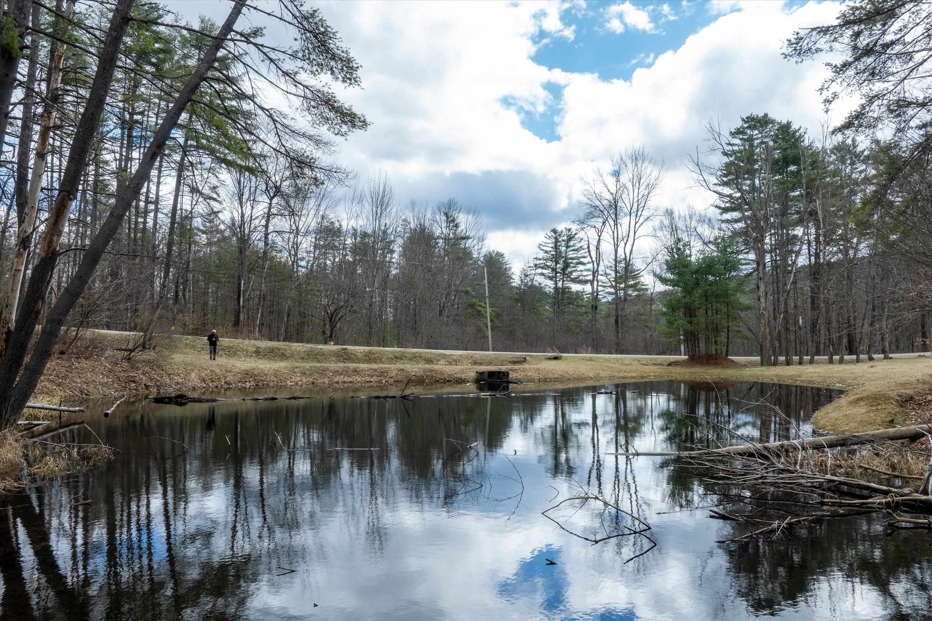 2145 Tarbell Hill Road, Unit 20 Cavendish, VT 05142 - Photo 7 of 50