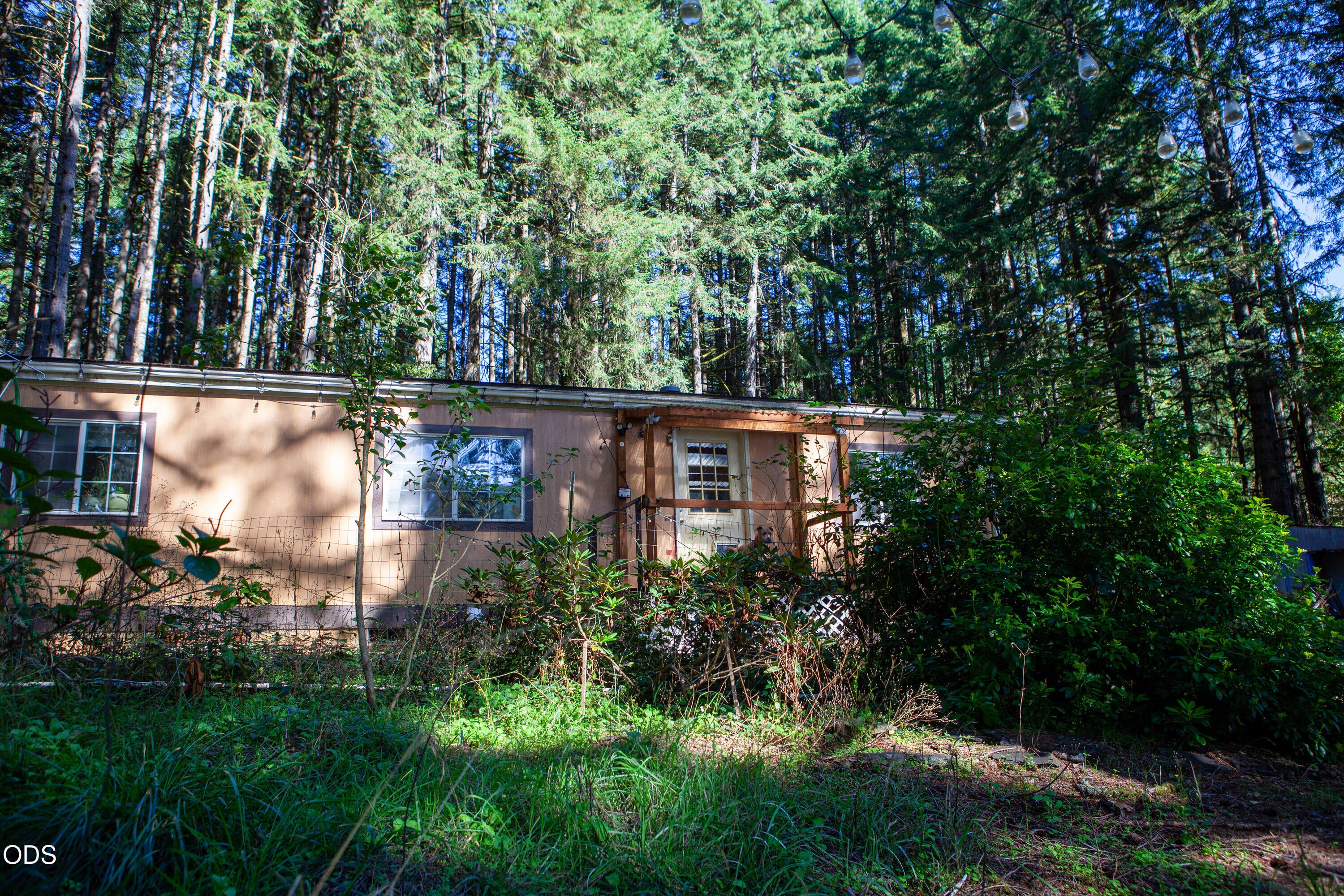 24331 Bolton Hill Road Veneta, OR 97487 - Photo 1 of 47 Gallery Image 1