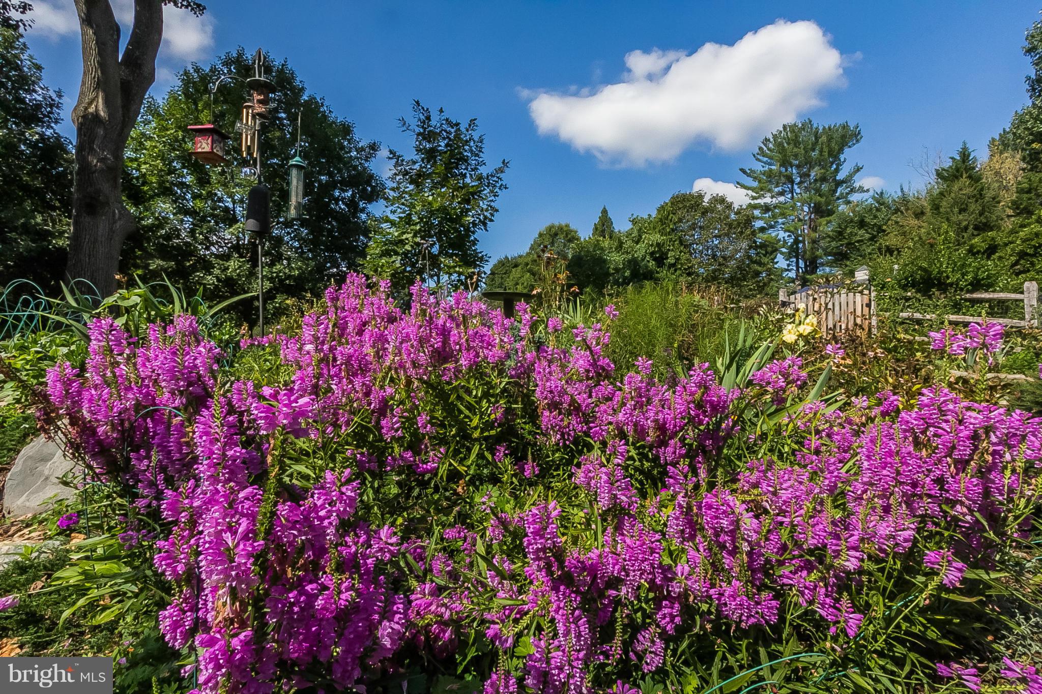 1820 Circle Road Baltimore, MD 21204 - Photo 28 of 30 Garden
