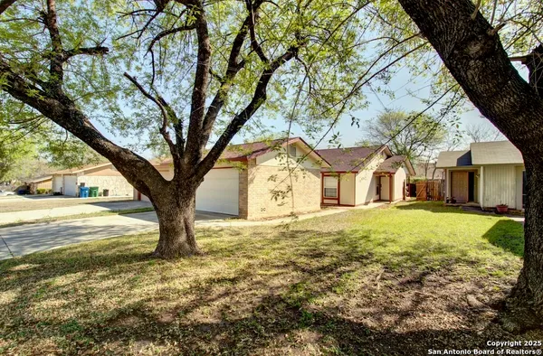 a large tree in front of a white house
