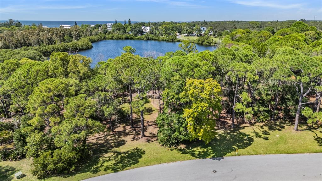 Seaview Drive Palm Harbor, FL 34683 - Photo 12 of 24 a view of a garden with an outdoor space