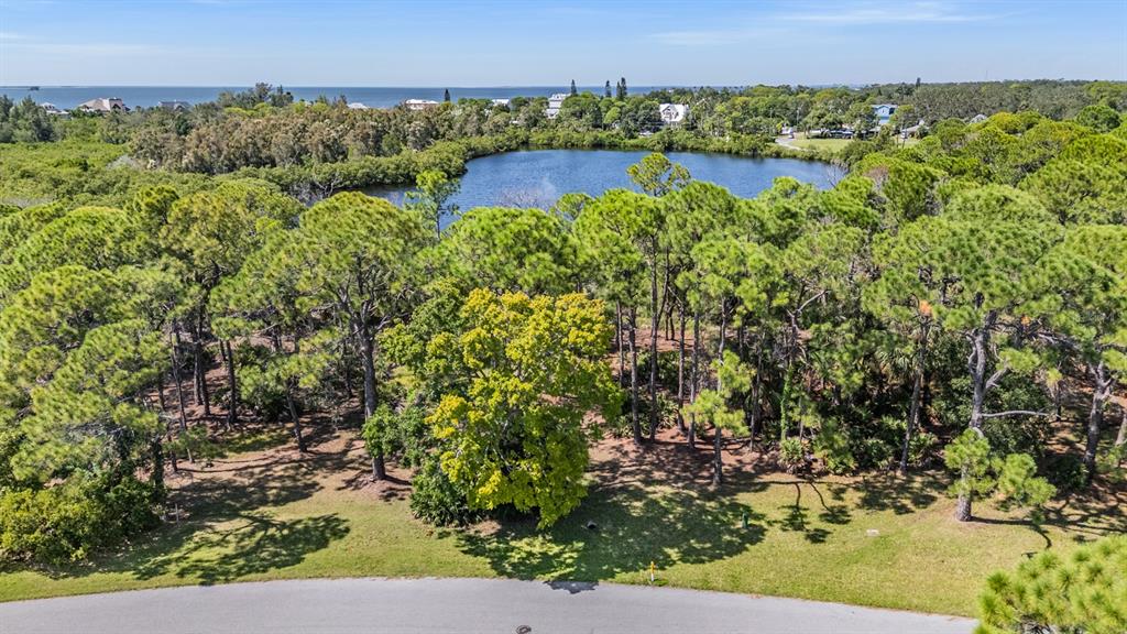 Seaview Drive Palm Harbor, FL 34683 - Photo 13 of 24