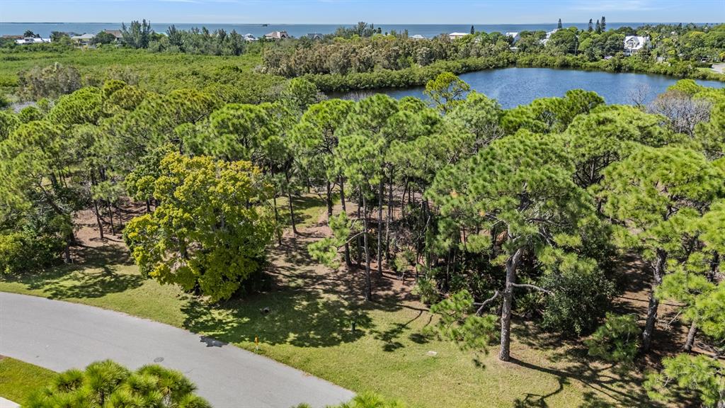 Seaview Drive Palm Harbor, FL 34683 - Photo 14 of 24 a view of a garden with a lake