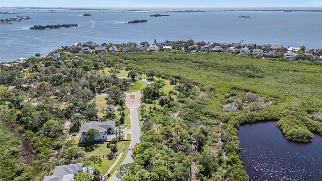 Seaview Drive Palm Harbor, FL 34683 - Photo 16 of 24 an aerial view of a house with a yard