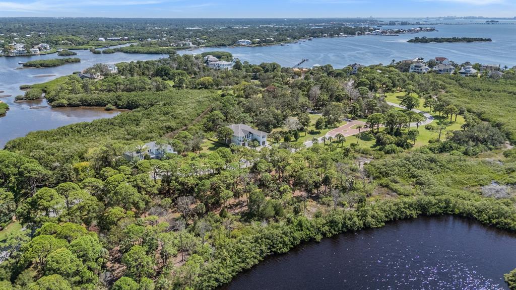 Seaview Drive Palm Harbor, FL 34683 - Photo 17 of 24 an aerial view of a houses with a yard
