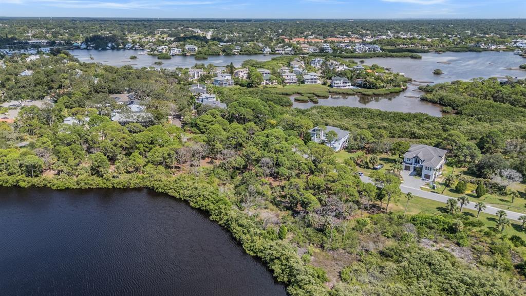 Seaview Drive Palm Harbor, FL 34683 - Photo 19 of 24 an aerial view of a houses with a yard