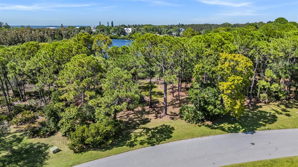 Seaview Drive Palm Harbor, FL 34683 - Photo 20 of 24 a view of a bunch of plants and trees