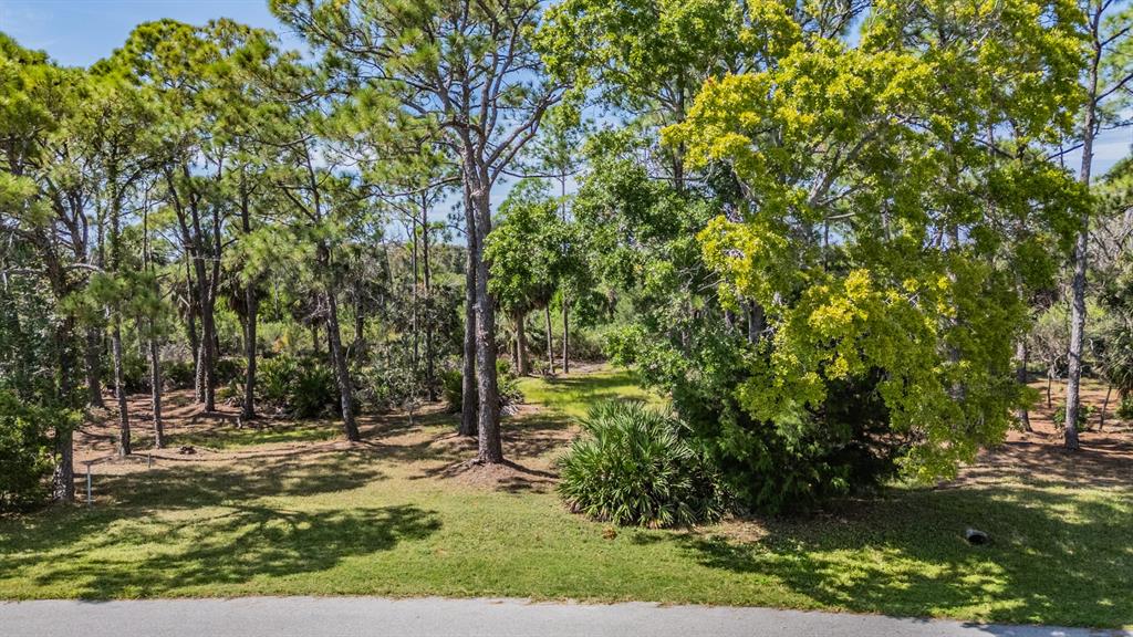 Seaview Drive Palm Harbor, FL 34683 - Photo 21 of 24 a view of yard