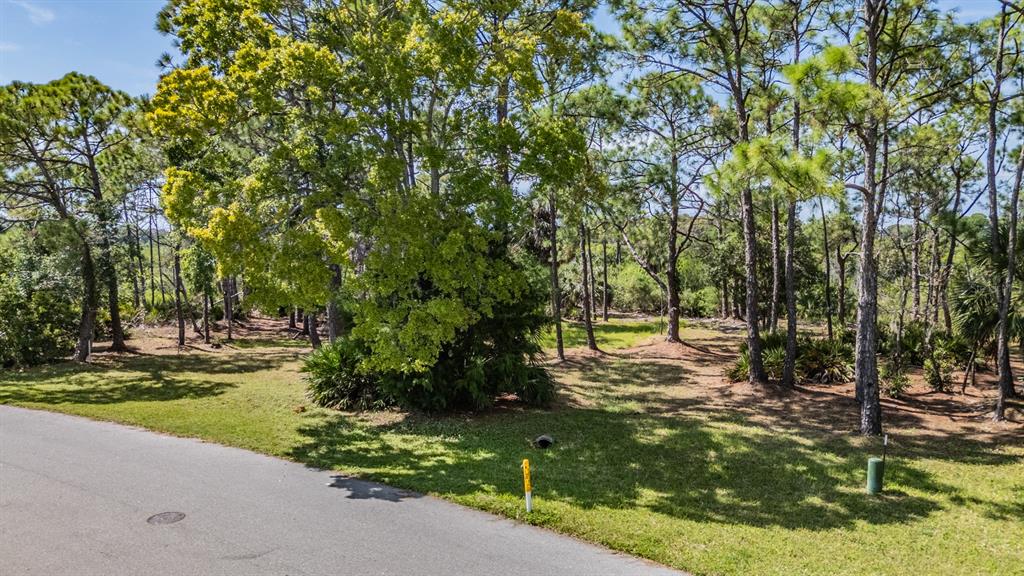 Seaview Drive Palm Harbor, FL 34683 - Photo 22 of 24 a backyard of a house with a yard and outdoor seating