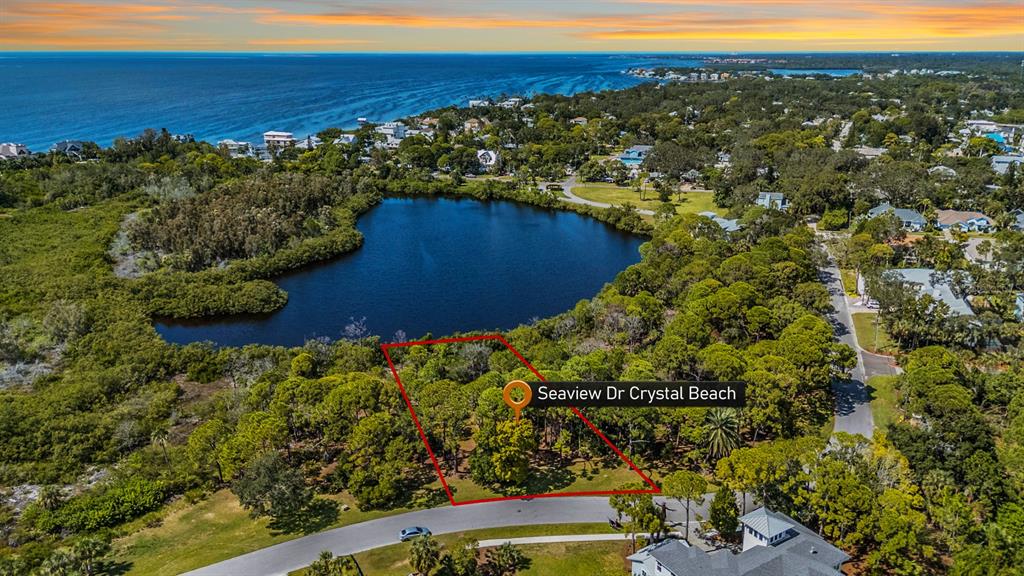 Seaview Drive Palm Harbor, FL 34683 - Photo 23 of 24