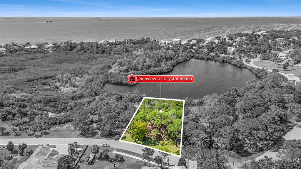 Seaview Drive Palm Harbor, FL 34683 - Photo 5 of 24 a view of outdoor space and city