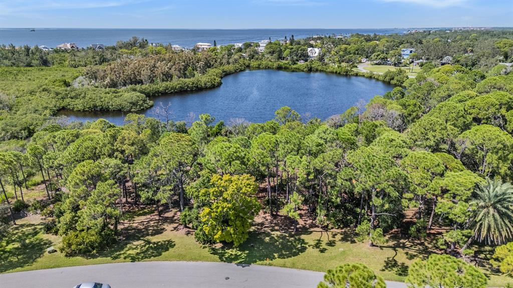 Seaview Drive Palm Harbor, FL 34683 - Photo 10 of 24 an aerial view of a house with a garden and yard