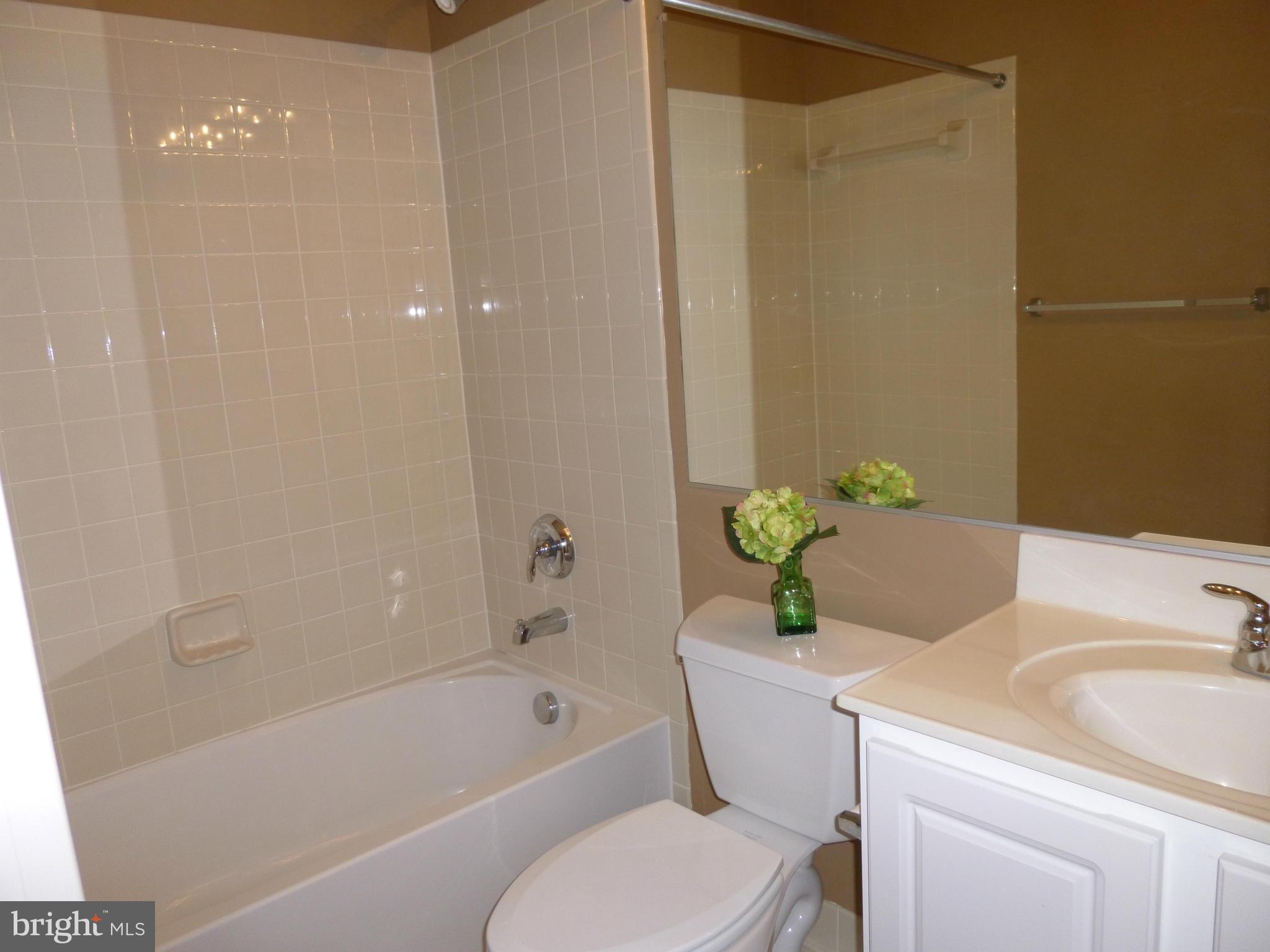 9081 Ribbon Falls Loop Bristow, VA 20136 - Photo 20 of 28 Bath