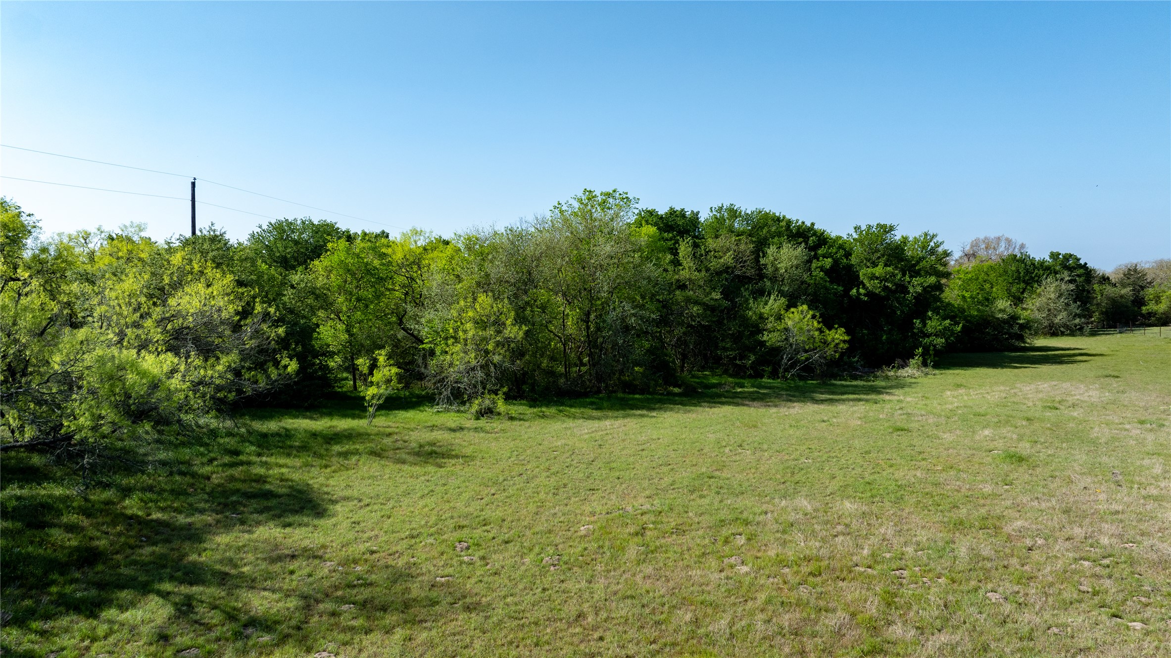 6575 Taylorsville Road Dale, TX 78616 - Photo 15 of 15 A spacious, verdant lot awaits your vision, bordered by a natural tree line for ultimate privacy.