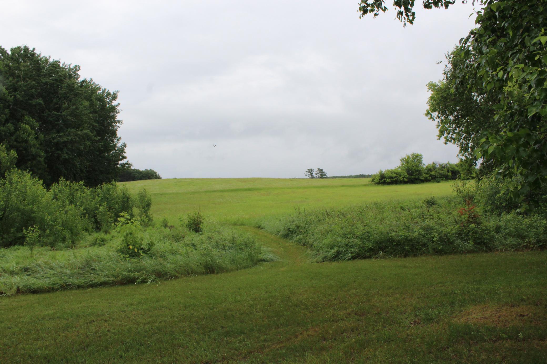 34497 Quiken Road Cushing, MN 56443 - Photo 35 of 39