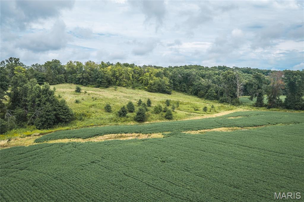 0 State Highway Rutledge, MO 63563 - Photo 8 of 28 Gallery Image 8