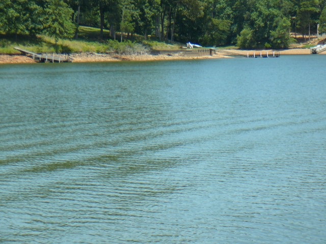 345 Black Road Abbeville, SC 29620 - Photo 15 of 17 Gallery Image 15