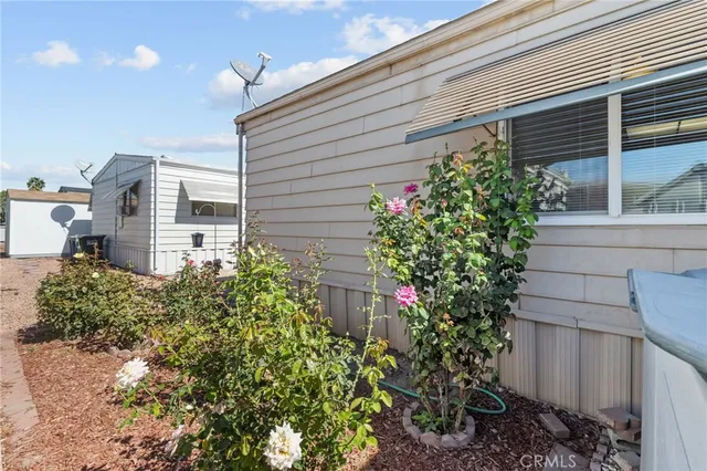 a potted plant sitting in front of a house