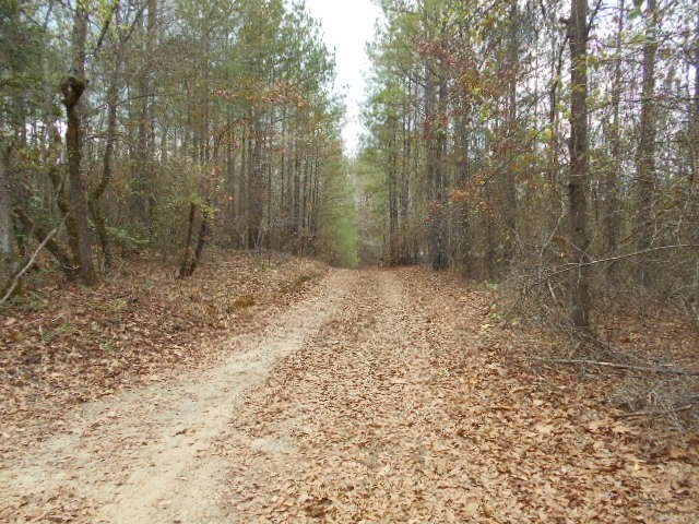 5654 Fulton Mill Road Lizella, GA 31052 - Photo 4 of 12 a view of empty room with trees