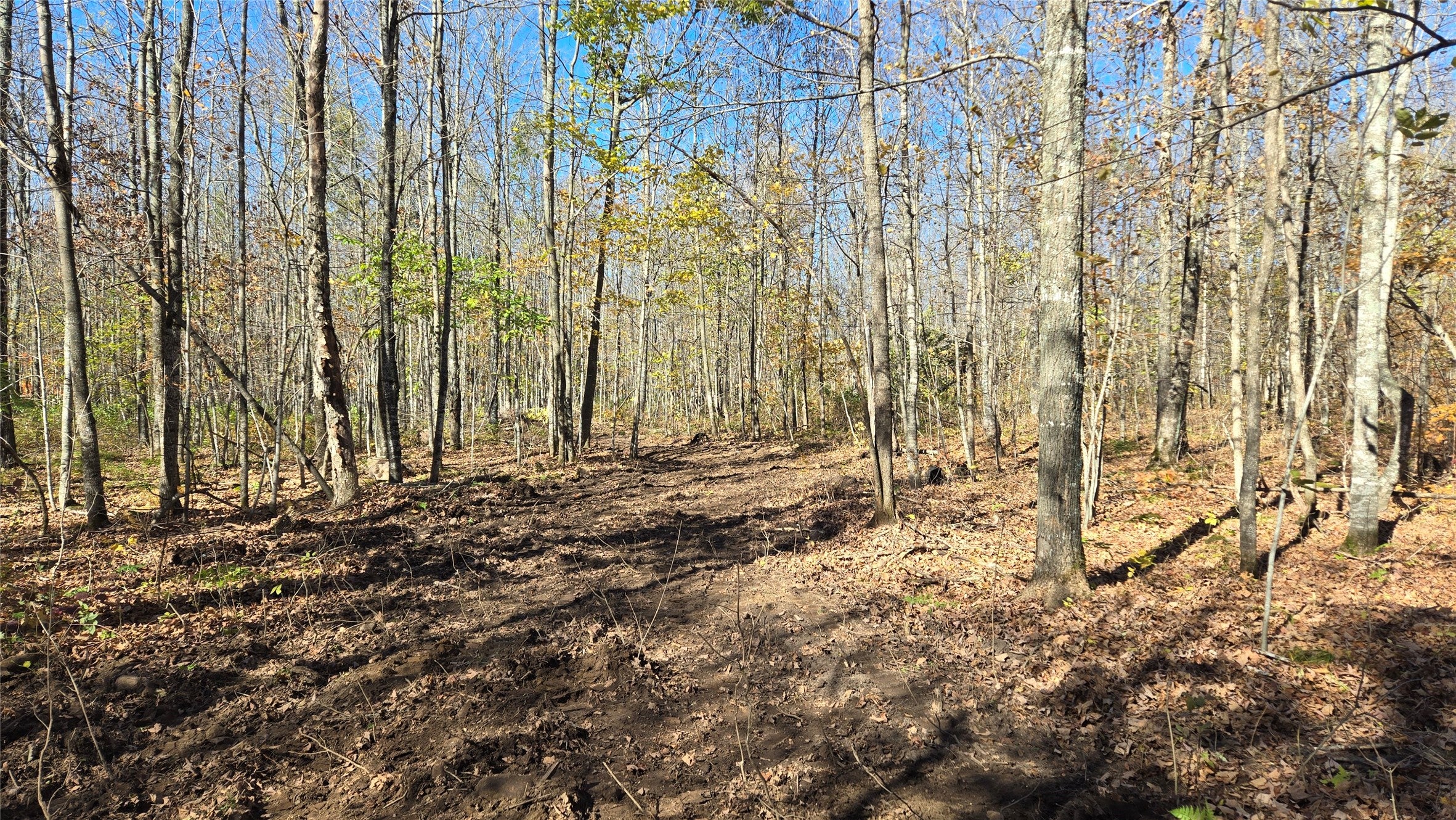Lot 6 Deer Lake Road Exeland, WI 54835 - Photo 6 of 25 Gallery Image 6