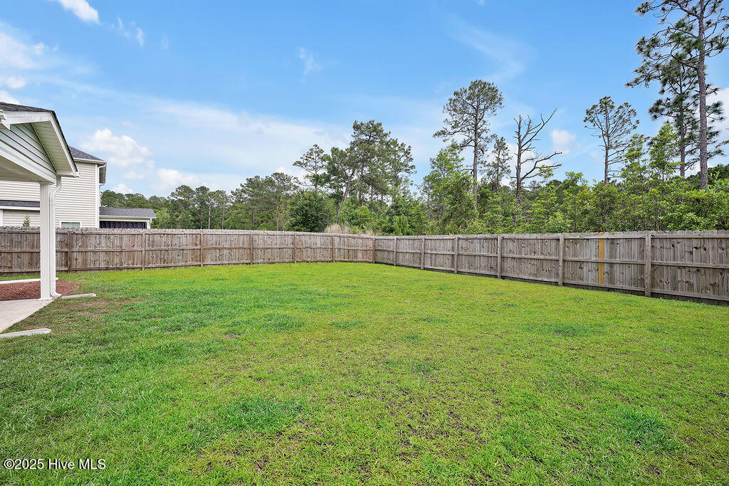 2610 Longleaf Pine Circle Leland, NC 28451 - Photo 31 of 32 2610LongleafPineCircle-31