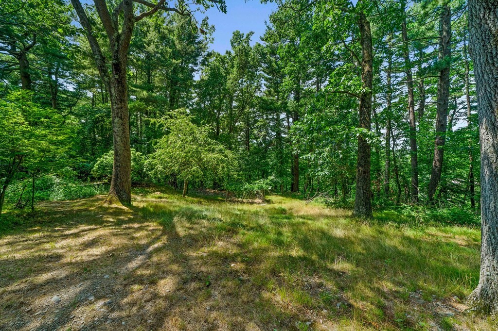 47 Green Street Canton, MA 02021 - Photo 10 of 22