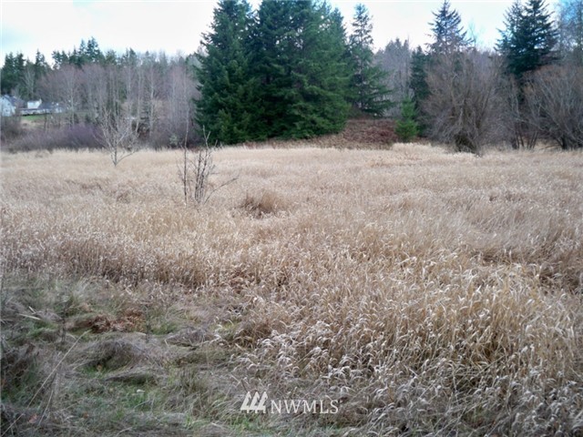 0 McMillan Road Chimacum, WA 98325 - Photo 1 of 2