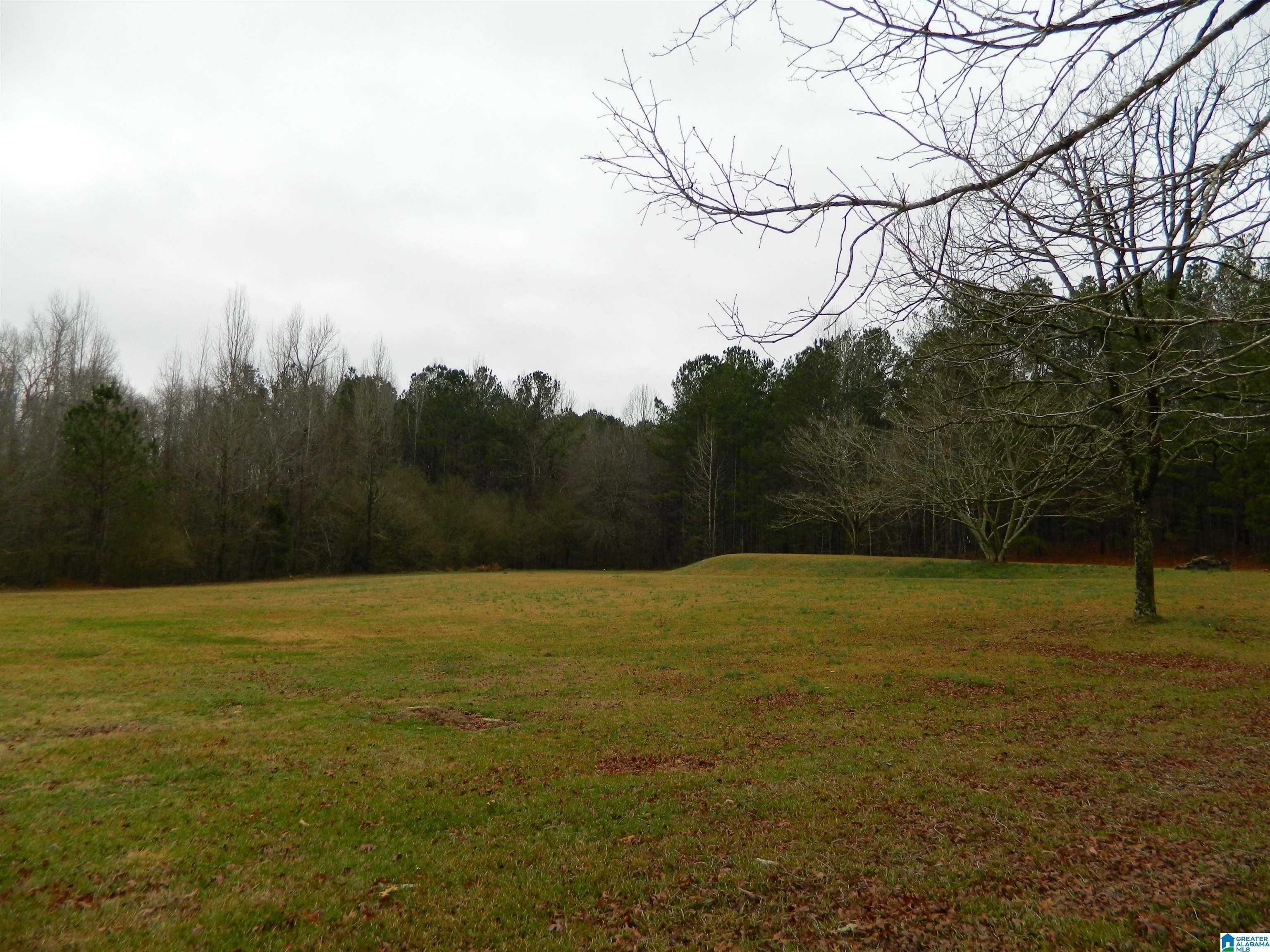 97 Cobb Road Piedmont, AL 36272 - Photo 25 of 32 Gallery Image 25