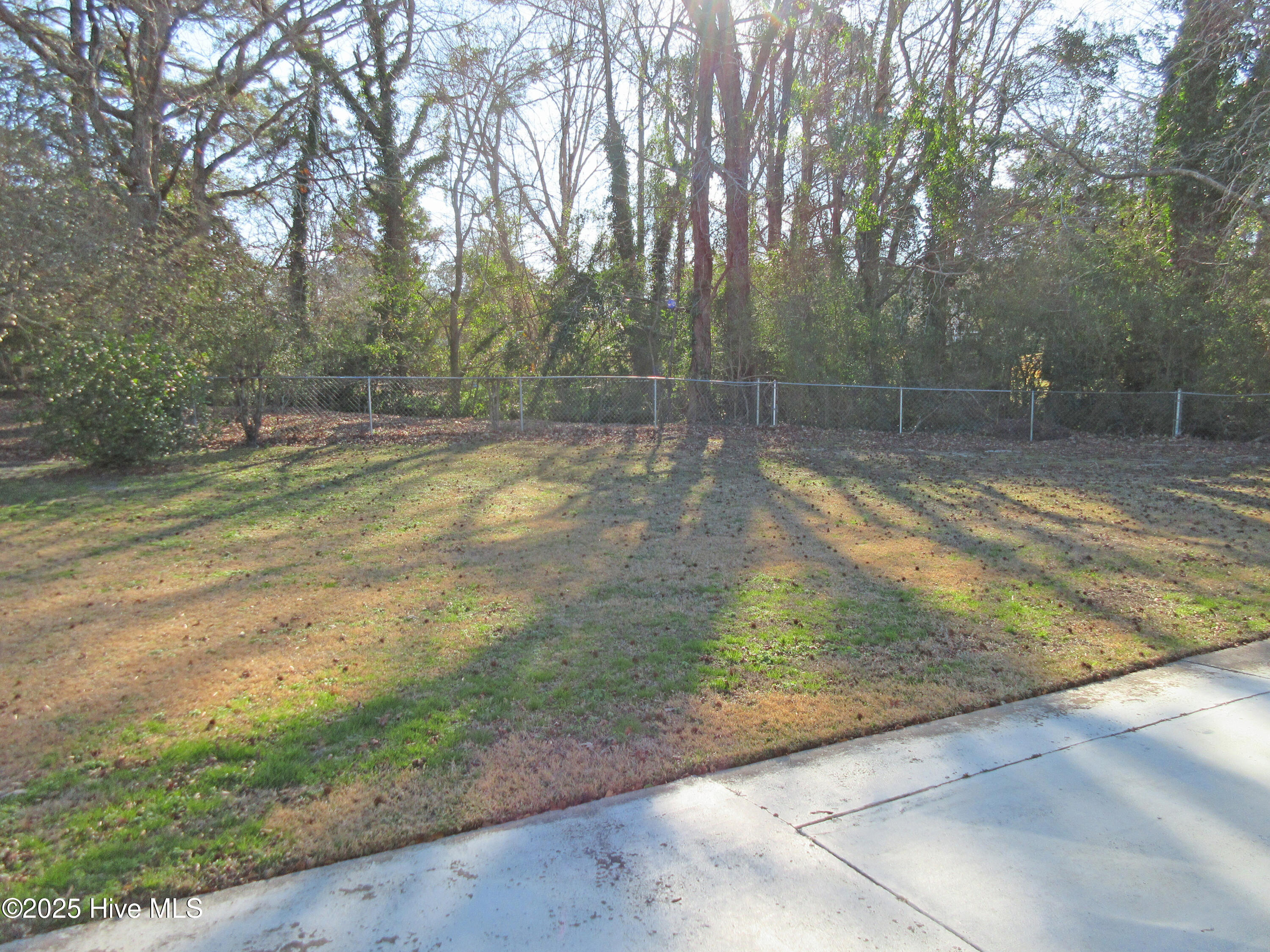 143 Balsam Road Jacksonville, NC 28546 - Photo 15 of 15 143 Balsam Rd - Yard