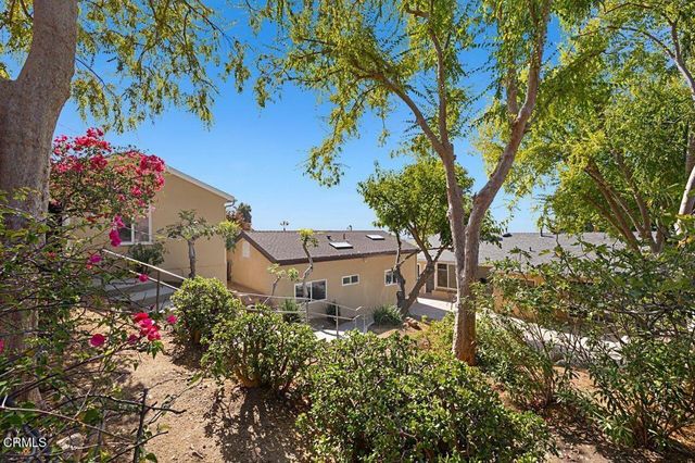 a picture of flowers