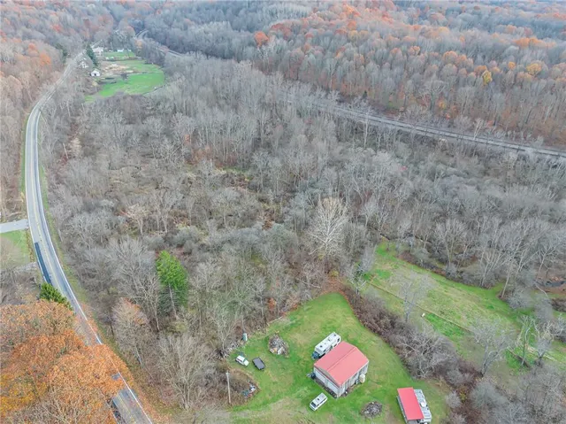 a view of a dry yard with trees